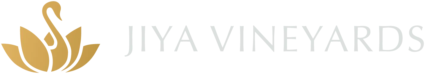 Jiya Vineyards Scrolled light version of the logo (Link to homepage)