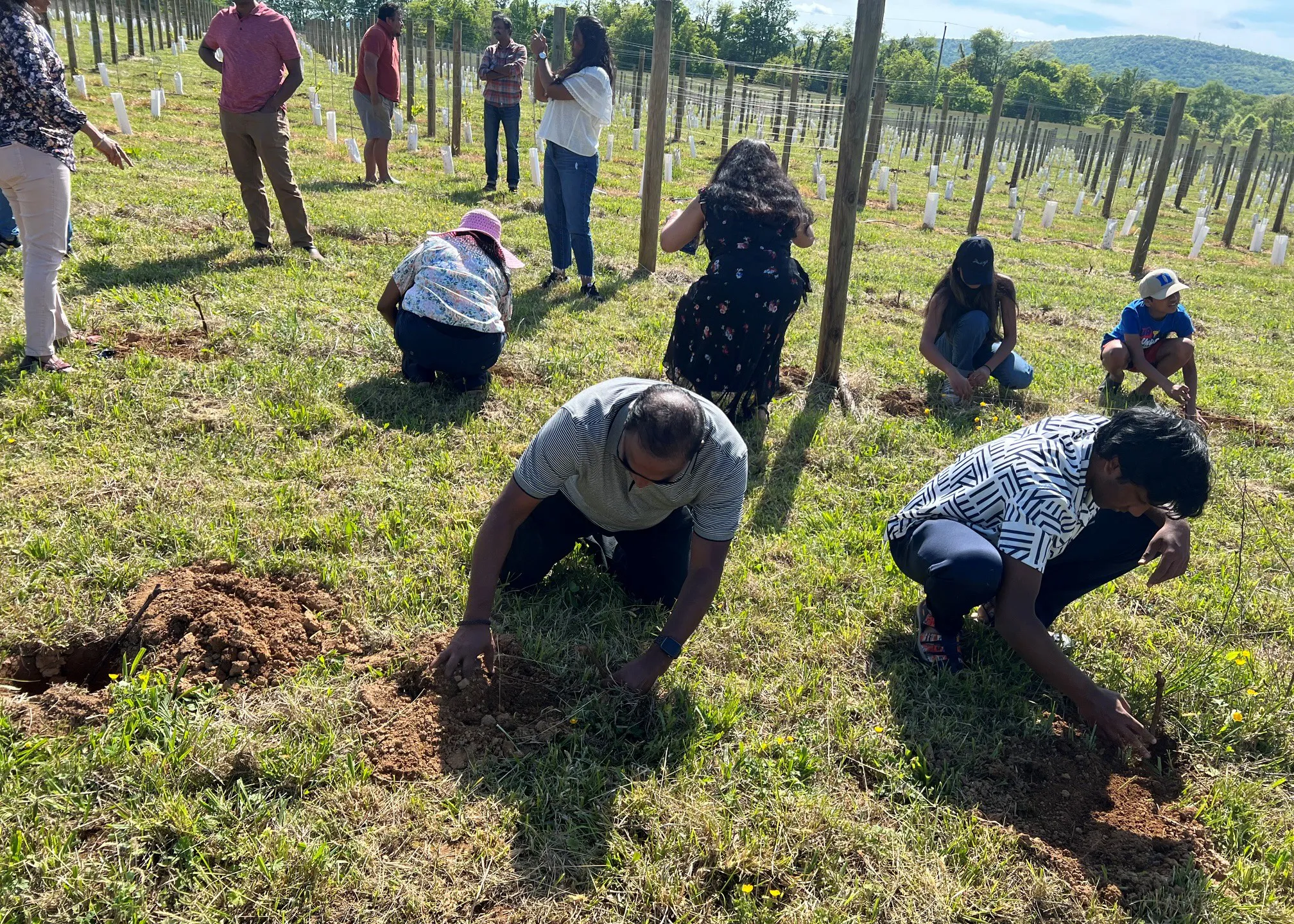 First plantation